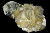 3.3" Twinned Selenite Crystals (Fluorescent) - Red River Floodway - #130295-1